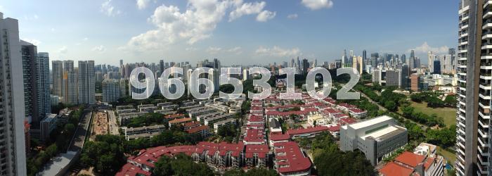 The Regency At Tiong Bahru (D3), Condominium #63585482